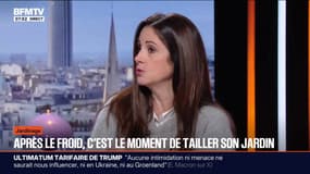 Jardinage: l'hiver, la bonne saison pour tailler ses arbres 