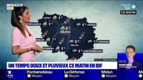 Météo Paris-Ile de France du 1er décembre : Un temps doux et pluvieux