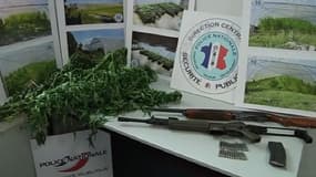 Deux armes de gros calibre ont été saisies chez le propriétaire des serres.
