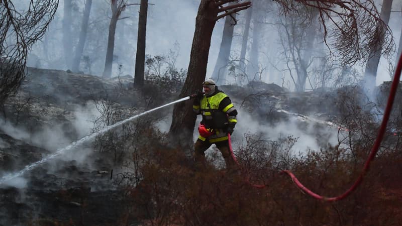 Un pompier en intervention sur un feu de forêt dans les Bouches-du-Rhône.