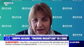 "On s'inquiète parce que quand ça commence à passer chez des mammifères, ça peut aussi infecter des hommes" , déclare Sylvie Briand, directrice du suivi mondial des pandémies à l'Organisation Mondiale de la Santé