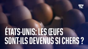 "Eggflation": quand les œufs deviennent un produit de luxe aux États-Unis