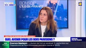 Le lancement de la mission de la ville de Paris sur les bois est reporté
