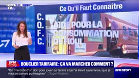 La hausse des prix du gaz et de l'électricité va être plafonnée à 15% en 2023