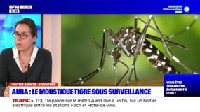 Votre Santé du mardi 9 mai 2023 - Aura, le moustique tigre sous surveillance