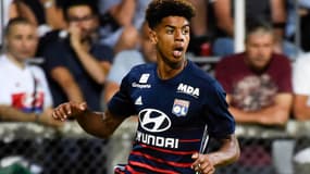 Willem Geubbels
