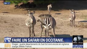 Sur les routes de la réserve africaine de Sijean