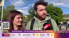 Dictionnaire: 150 nouveaux mots dans le Larousse 