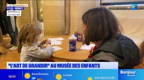 " L'art de grandir " une exposition au musée des enfants