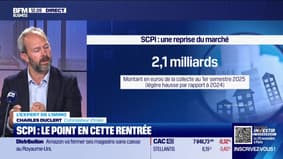 Les Experts de l'immo : Les SCPI diversifiées dominent le marché - 24/09