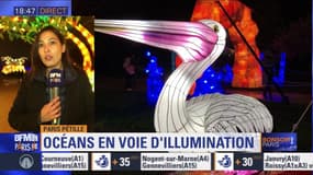 Paris Pétille: océans en voie d'illumination