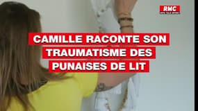 "Je passais mes soirées dans la baignoire en mode, je les verrais si elles arrivent": Camille raconte son traumatisme des punaises de lit