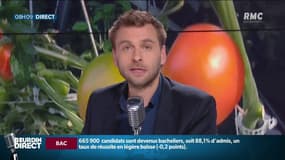 La vente de légumes bios, produits en France, sous des serres chauffées, sera interdite durant une certaine période de l’année
