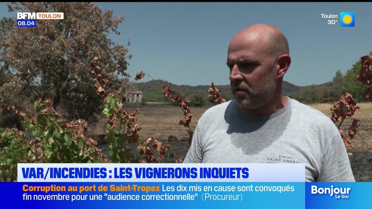 Le journal de 8h du vendredi 7 août 2026