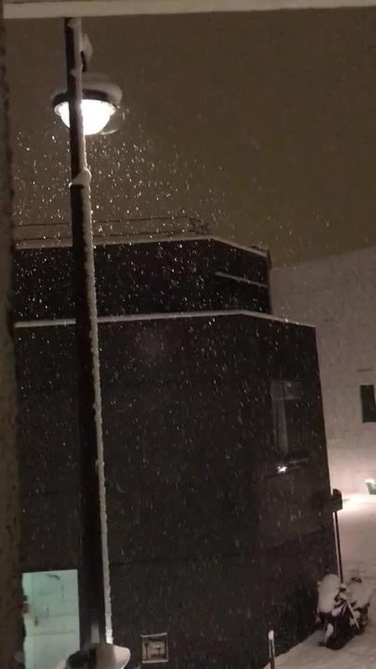 placeholder video