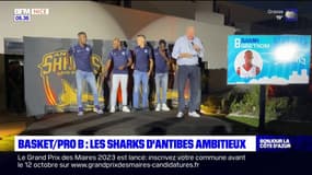 Basket: les Sharks d'Antibes visent la Betclic Élite