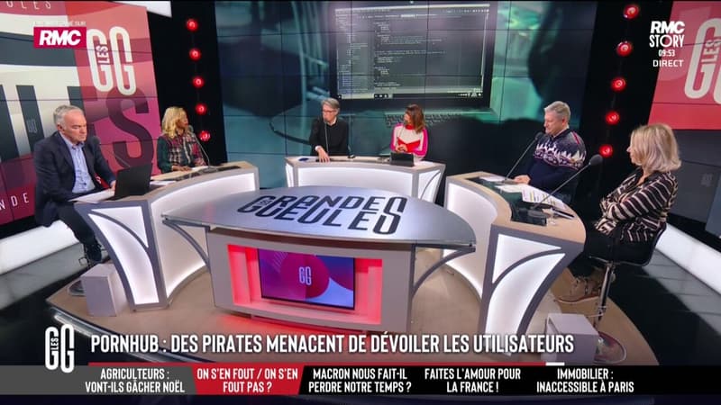 "Il faut déclarer la guerre contre les pirates": un site pornographique victime d'un piratage
