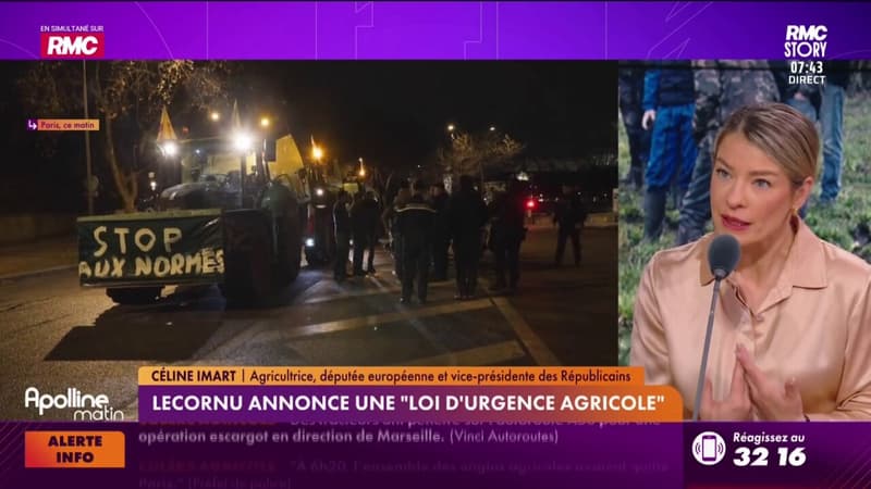 Colère agricole : "Le coq français est devenu un poulet sous hormones"