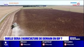 Quelle sera l'agriculture de demain en Ile-de-France?