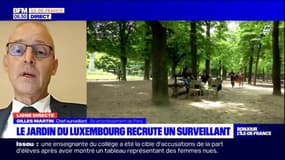 Ligne directe: le jardin du Luxembourg recrute un surveillant