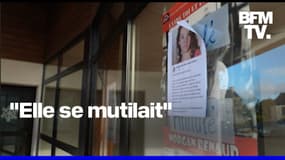 "Elle se mutilait": la piste du harcèlement scolaire évoquée après la disparition de Morgane