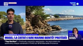 Mugel/La Ciotat : une nouvelle réserve marine va voir le jour