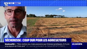 Sécheresse : coup dur pour les agriculteurs - 24/07