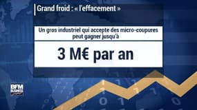 L'effacement : Ces entreprises qui vont peut-être sauver la France du Black-out