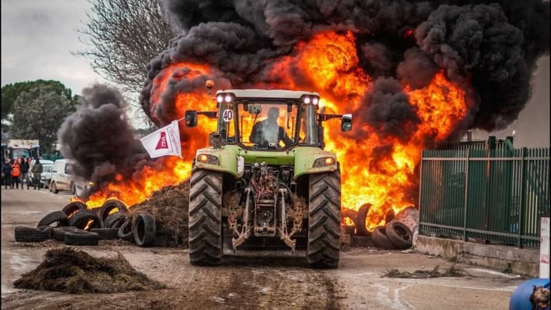 Les agriculteurs toujours mobilisés pour Noël?