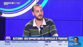 Altcoins : des opportunités à trouver 