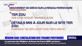Provence-Alpes-Côte d'Azur: le réseau de TER Zou en grève ce mardi