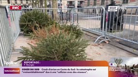 Que faire de son sapin après les fêtes? 