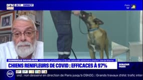Chiens renifleurs de Covid: le vétérinaire Dominique Grandjean salue des résultats "exceptionnels"