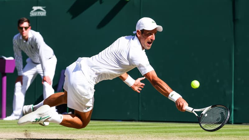 N. Djokovic