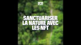 Sanctuariser la nature avec les NFT