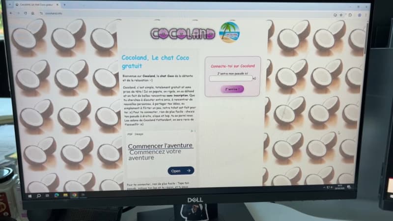 Un an après la fermeture de Coco.fr, un coup de filet géant de la gendarmerie mène à 178 interpellations
