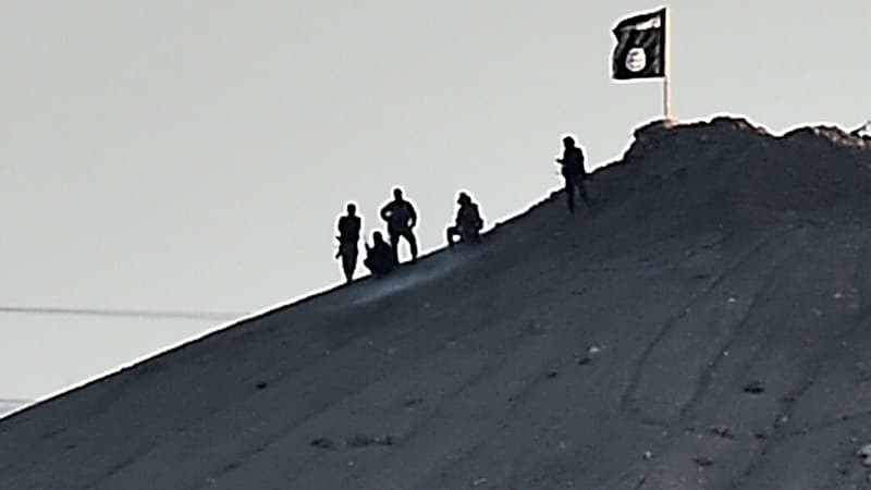 Des militants de l'Etat islamique en Syrie, le 6 octobre 2014.