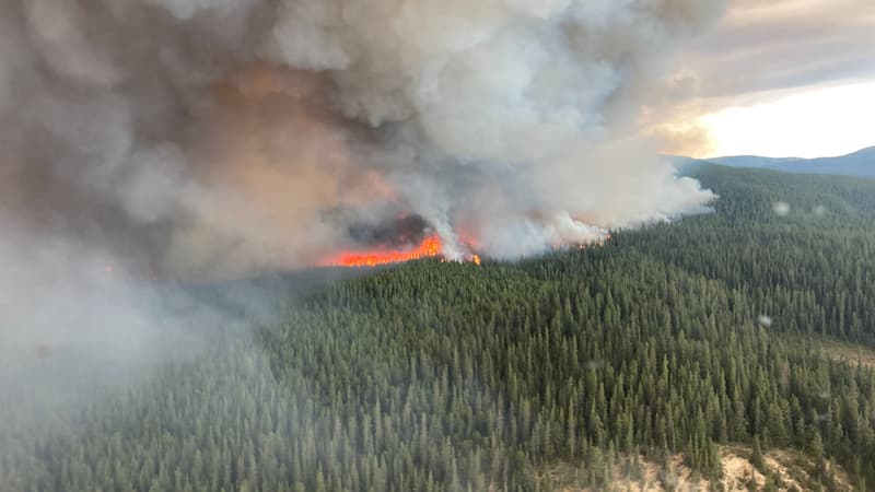 Un feu de forêt dans le territoire du Yukon, au Canada, le 10 juillet 2023.