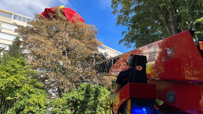 Les pompiers ont déployé l'échelle pour porter secours au parachutiste.