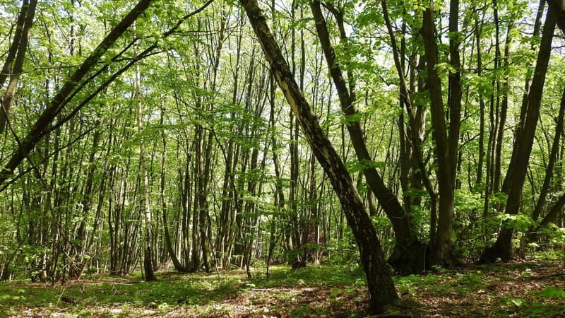 Il avait établi sa tente au début de l'hiver, à Nogaro, une petite commune du Gers.