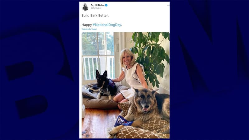 Jill Biden avec les deux chiens du couple, Champ et Major.