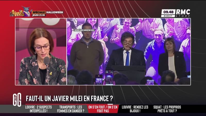 Faut-il un Javier Milei en France?