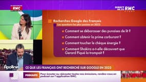 On n'a pas osé vous en parler : Ce que les Français ont recherché sur Google en 2023 - 12/12