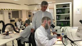 Une ETI française révolutionne la chirurgie du cerveau