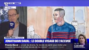 Procès Daval: pour ce psychiatre, "il n'y a rien de plus à découvrir"