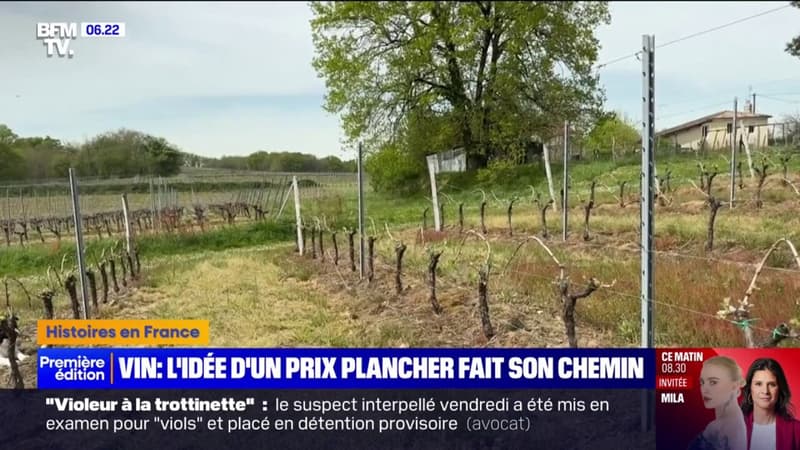 Mobilisation des viticulteurs bordelais: l'idée d'un prix plancher évoqué