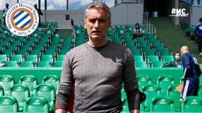 Montpellier : Dall'Oglio, vers un nouveau gardois sur le banc héraultais