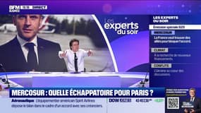 Mercosur : quelle échappatoire pour Paris ?