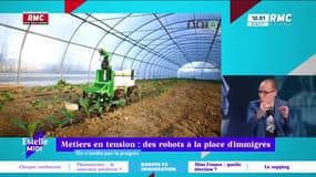On n'arrête pas le progrès : Métiers en tension, des robots à la place d'immigrés - 13/12