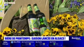 Alsace: la saison de la bière de printemps est lancée